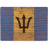 Barbados Flag Dark Wood Surface Pro 8 Skin